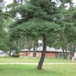 camping municipal d'Aumont-Aubrac